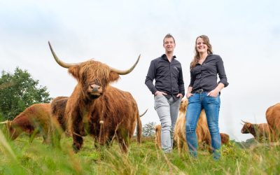 Ontdek het verhaal achter Vechtdal Hooglanders: waardering voor natuur en eerlijk vlees