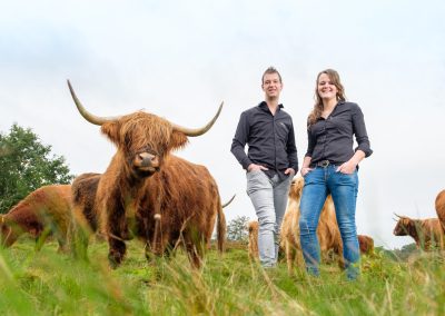 Vechtdal Hooglanders