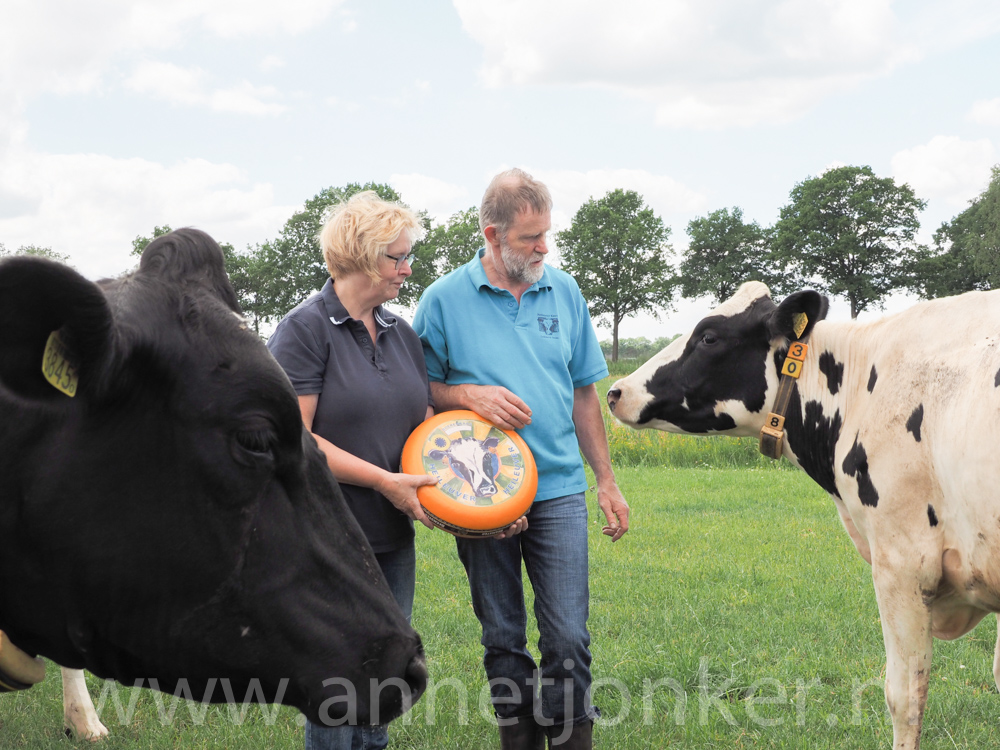 Kaasboerderij Heileuver - Vechtdal