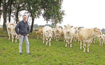 Ontdek boerderij Uut ’t Veld – de passie van familie Emmink